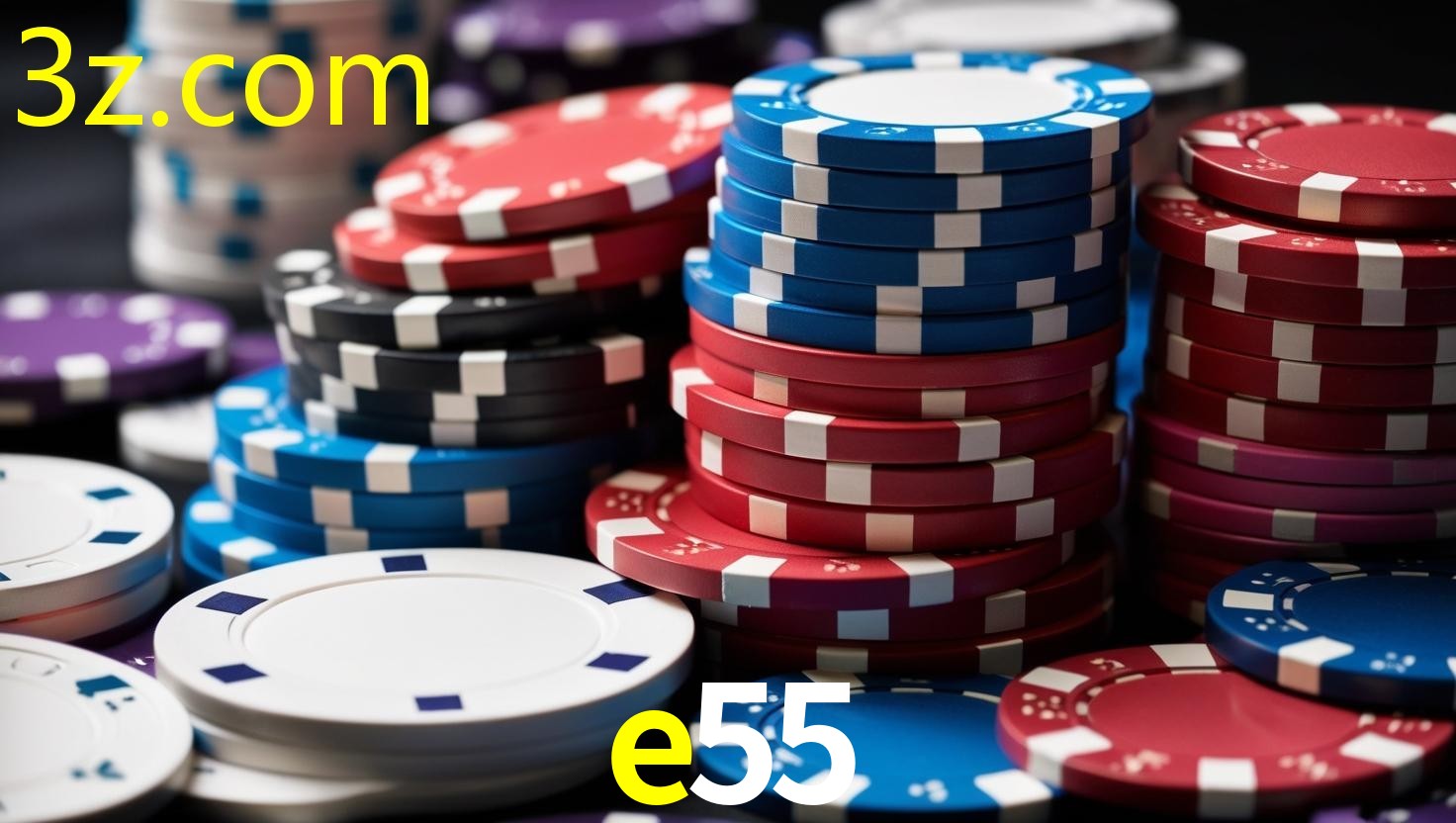 E55