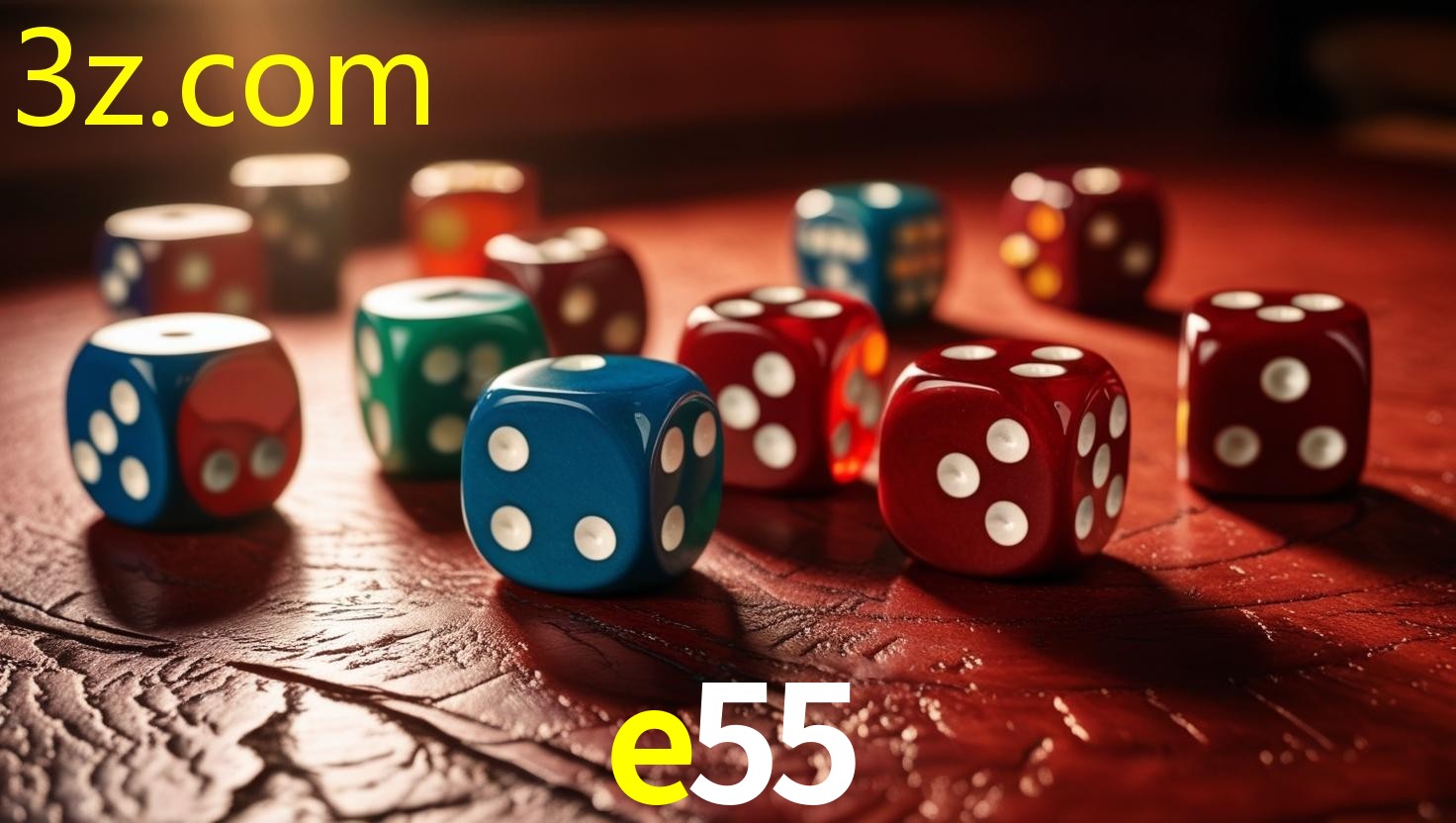 E55